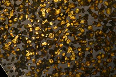 Météorite - Pallasite - coupe transversale - surface polie (Kansas, USA)